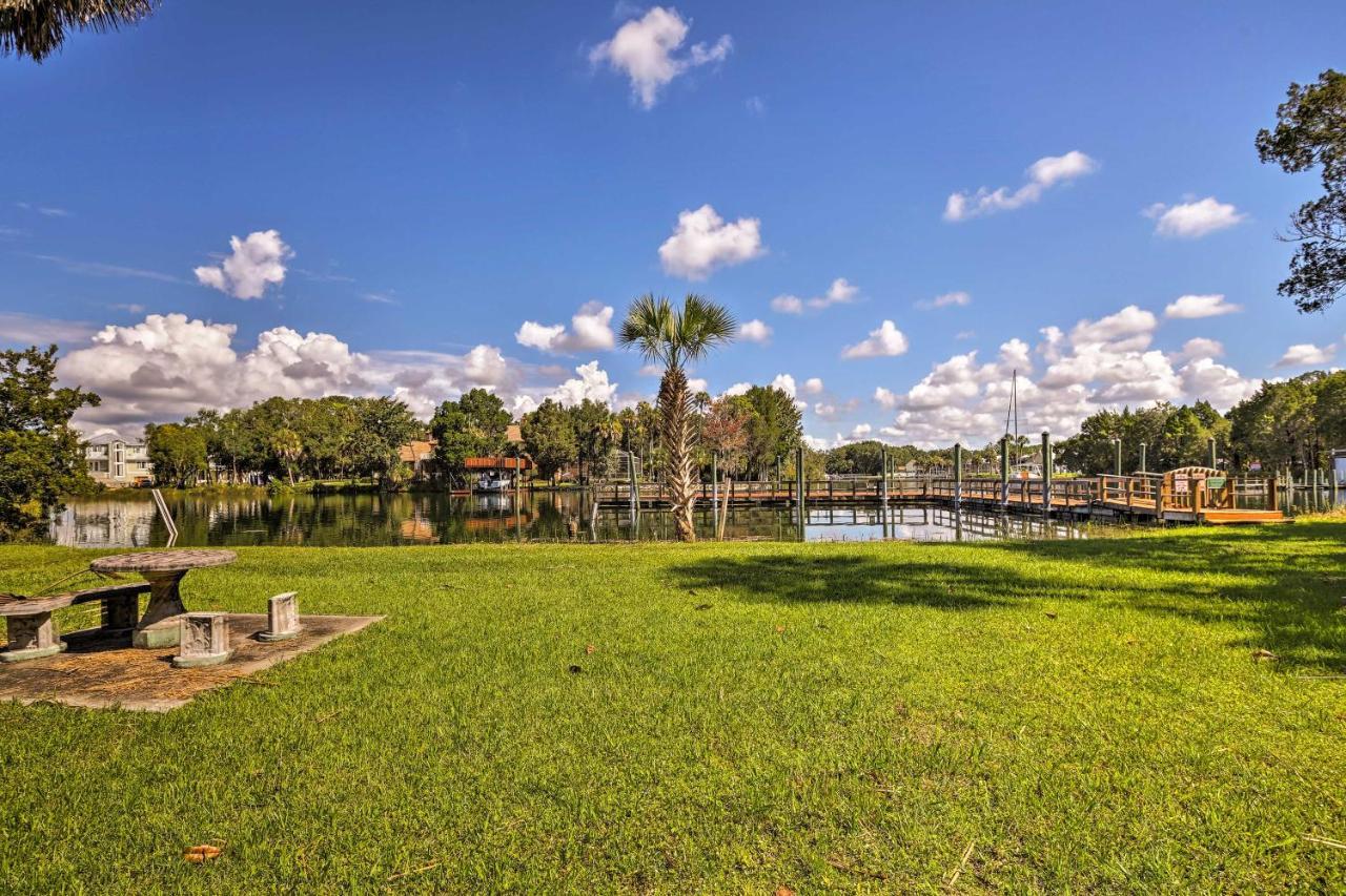 Crystal River House Scalloping And Dock, Gulf 7 Mi! المظهر الخارجي الصورة